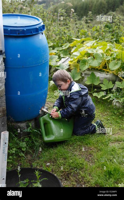 Young boy filling watering can from water butt Stock Photo - Alamy