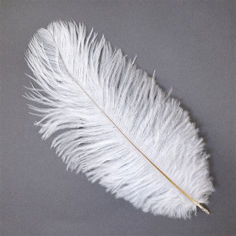 white ostrich feather drabs   inches pcs  sale buy ostrich