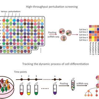 Applications of sample multiplexing technologies. Multiplexing ...