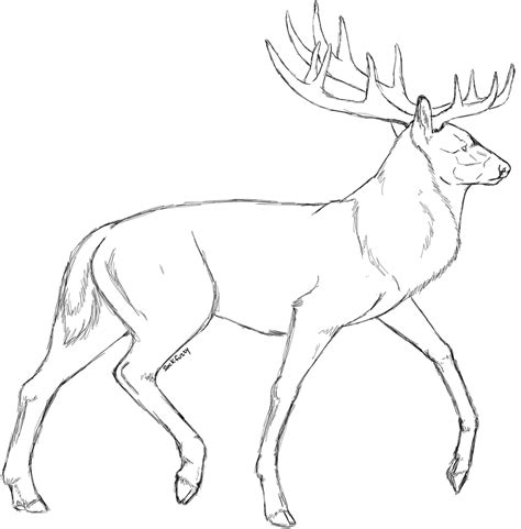 Stag Sketch By Sockfuzzy On Deviantart