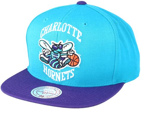 Charlotte Hornets Xl Logo Tone Teal Purple Snapback Mitchell Ness