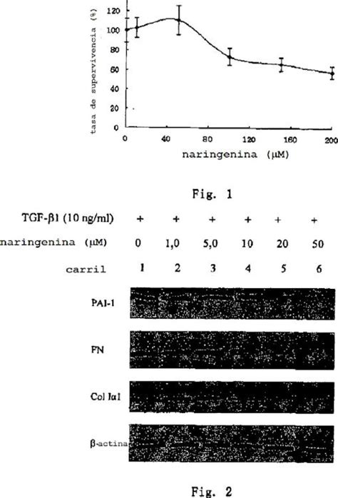 Uso De Naringenina Y De Naringina Como Inhibidores De La