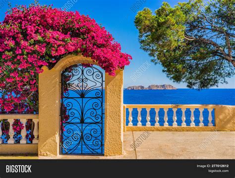 beautiful sea view image photo  trial bigstock