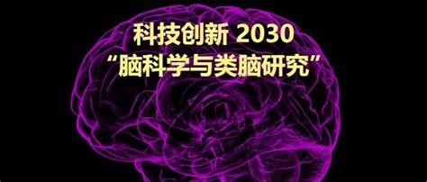 重要通知：一起给中国脑计划指南提意见！脑科学新浪新闻