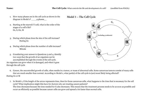 Pogil Cell Cycle Answer Key