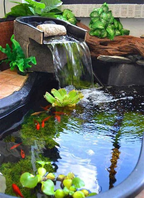 Small Garden Pond Fish | Backyard Design Ideas