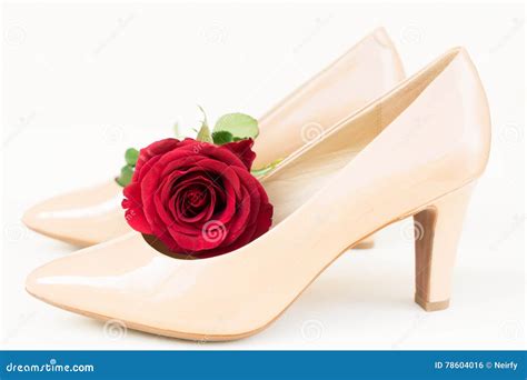 Nude Colored High Heels Still Life Stock Photo Image Of Fashion Paris 78604016