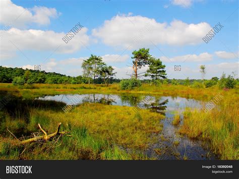 Beautiful Fen Image & Photo (Free Trial) | Bigstock