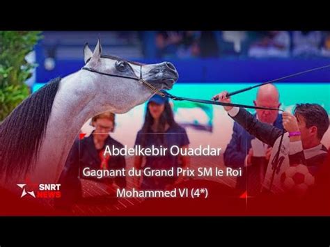 Salon Du Cheval A Ouaddar Remporte Le Grand Prix Sm Le Roi Mohammed