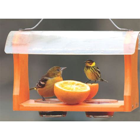 Birds Choice Recycled Jelly And Fruit Oriole Tray Bird Feeder And Reviews