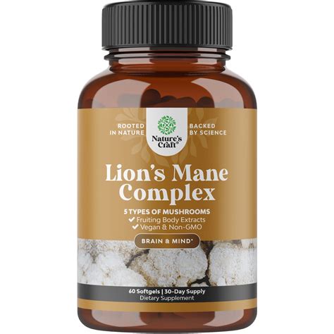 Nootropic Research Will Continue To Define The Best Lions Mane Mushroom Supplement - RYZE Superfoods