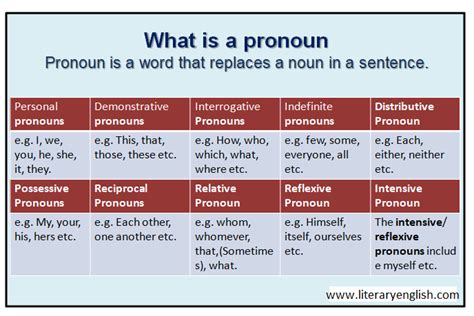 Definition And Types Of Pronoun Literary English