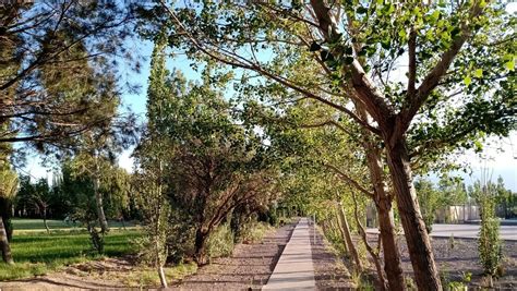 Llegar A Viento Zonda Por La Tarde Y Alentar A Al Descenso De Temperatura