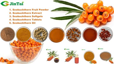 Supercritical Co2 Sea Buckthorn Oil Seabuckthorn Seed Oil Buy Sea