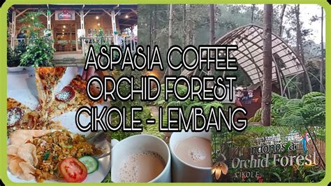 TEMPAT WISATA DAN CAFE YANG SEJUK ASPASIA COFFEE ORCHID FOREST