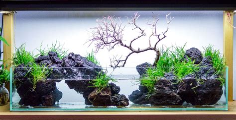 Lava Rock Aquarium Decorations