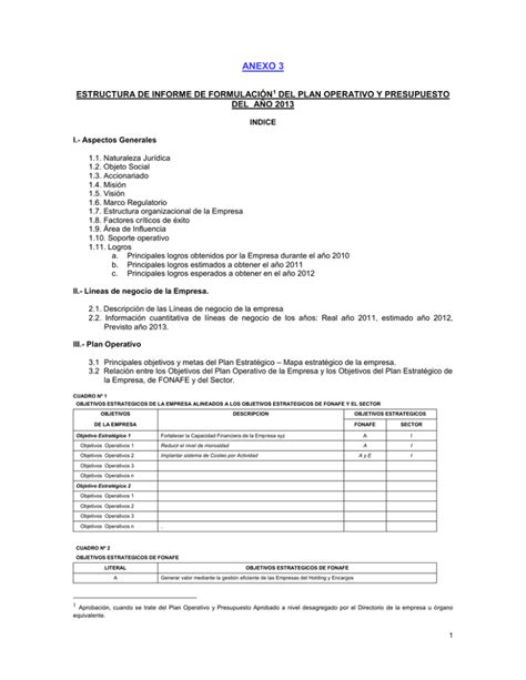 Anexo Estructura De Informe De Formulaci N Del Plan Operativo Y