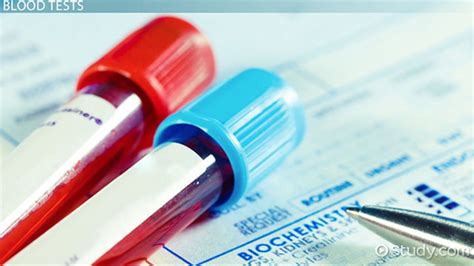 Chemical Blood Tests Terminology Video Lesson Transcript Study