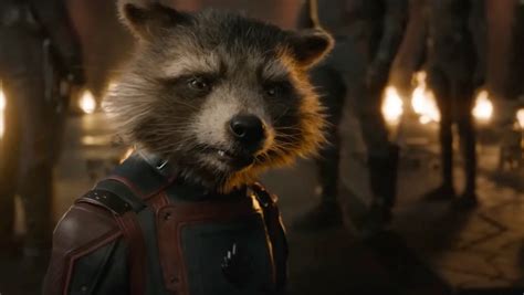 What Guardians Of The Galaxy Vol Revealed About Rocket S Backstory