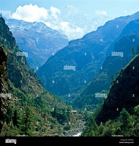 The Langtang Valley Himalayas Nepal Stock Photo - Alamy