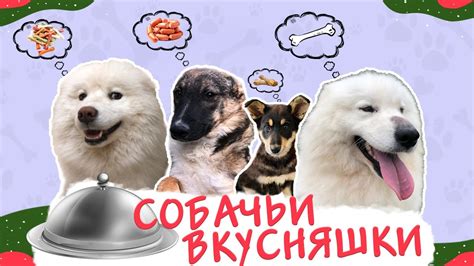 Собачьи вкусняшки которые Фрося, Глаша и Дуняша с Марфушей уплетают за ...