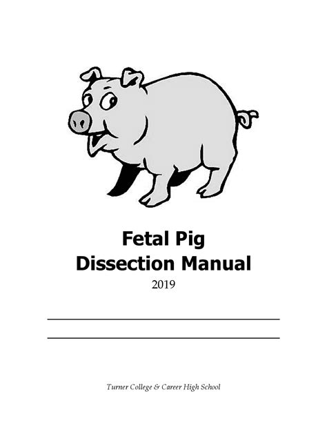Fetal Pig Dissection Vocabulary Definitions 4