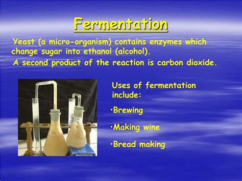 Coq10 Hergestellt Durch Hefefermentation