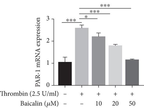 Baicalin Inhibits Vsmc Inflammation By Suppressing Thrombin Induced