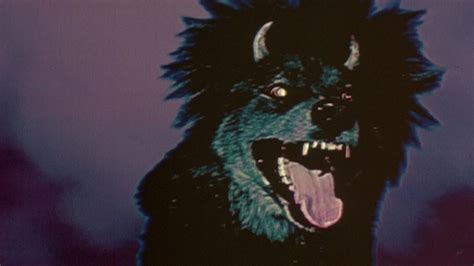 Devil Dog The Hound Of Hell 1978 Mubi