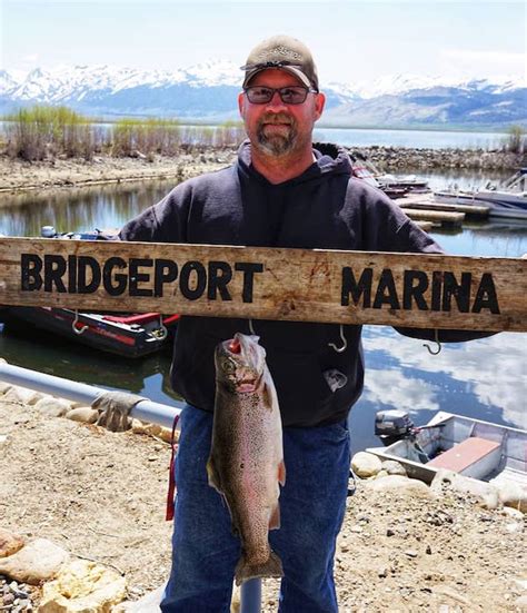 Bridgeport Reservoir Fish Report - Bridgeport, CA (Mono County)