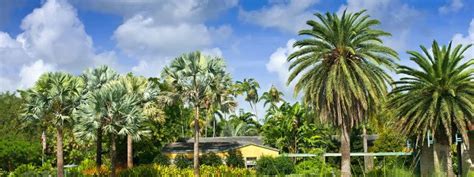 Miami Gardens