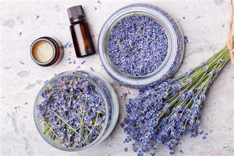 Aromatherapy - Natural Medicine Week