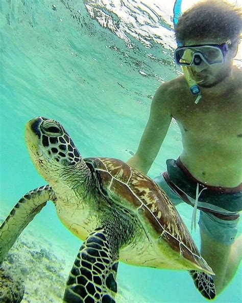 I Heard You Guys Like Hot Teachers So I Present To You My Math Teacher Bored Panda