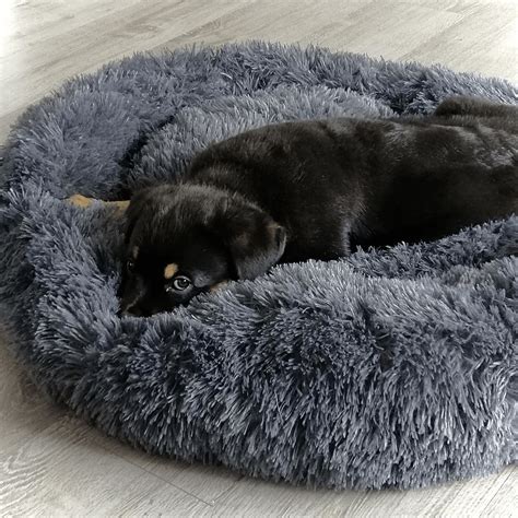 Kuschelweiches Hundebett Wolke 7 Unser Original Haustierstolz