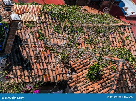 Roof Tiles Vintage Terracotta Shingles Stock Photo Image Of Puerto