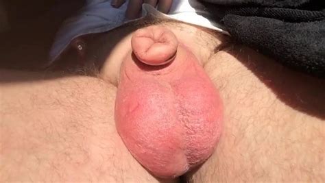Sunning Hanging Balls Gay Man Porn Xhamster