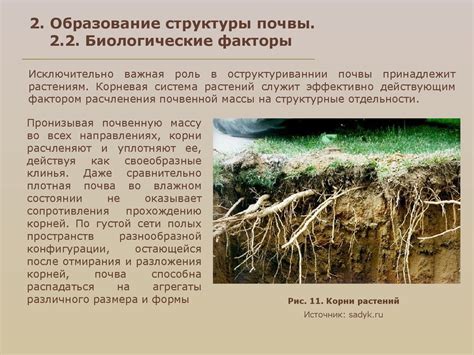 Структура почвы. (Лекция 9) - online presentation