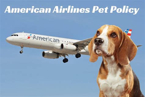 US Service Animals - Can You Bring Your Pets Aboard American Airlines?