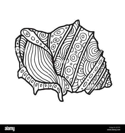 Zentangle Sea Coquillage Seashell Paste Shells Zentangles Fische Tangle
