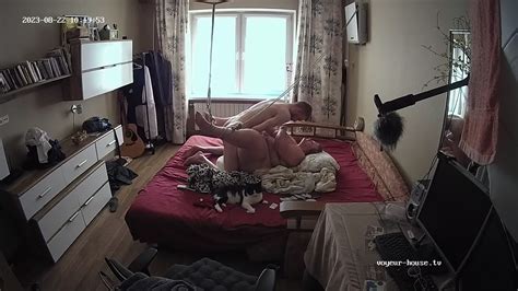 Watch Sex Mustafa And Armida Sex In Living Room Naked People With Mustafa