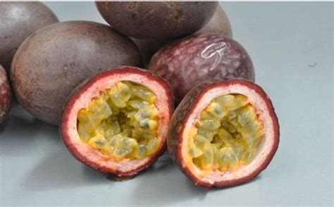 Passionfruitblackbeauty Kaipara Coast Plant Centre And Sculpture Gardens