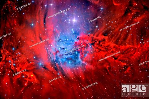 Fox Fur Nebula Stock Photo Picture And Rights Managed Image Pic Sjb