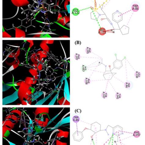 2D and 3D binding interactions of ZINC000329492445, ZINC000001693021 ...
