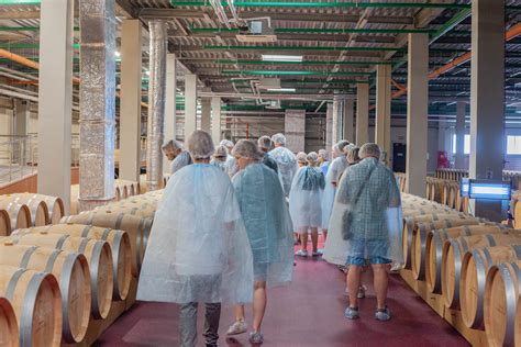 Шато де Талю (Château de Talu), Геленджик | Все о городе-курорте Геленджик