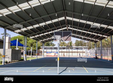 Outdoor Basketball Court Covers At Josephine Parks Blog