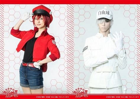 Cells At Work Live Action Movie Receives Trailer And Release Date