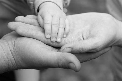 El Padre Y La Madre Llevan A Cabo Una Peque A Mano Reci N Nacida Del