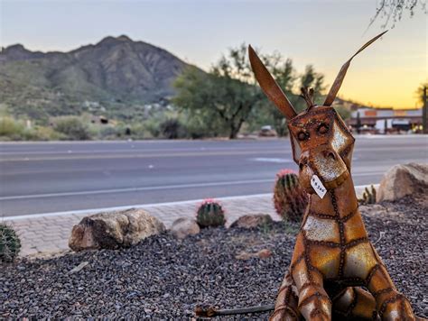 Cave Creek, AZ Photo Gallery | World Of Arizona
