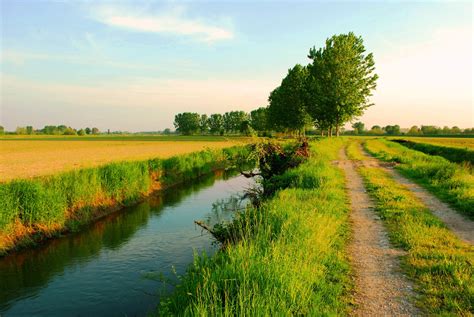 La campagna mantovana - Viaggi, vacanze e turismo: Turisti per Caso