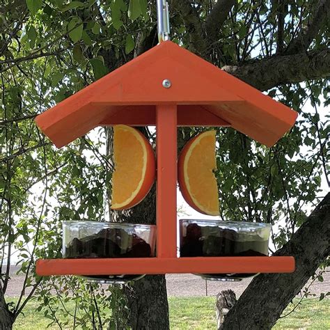 Double Fruit And Jelly Oriole Feeder